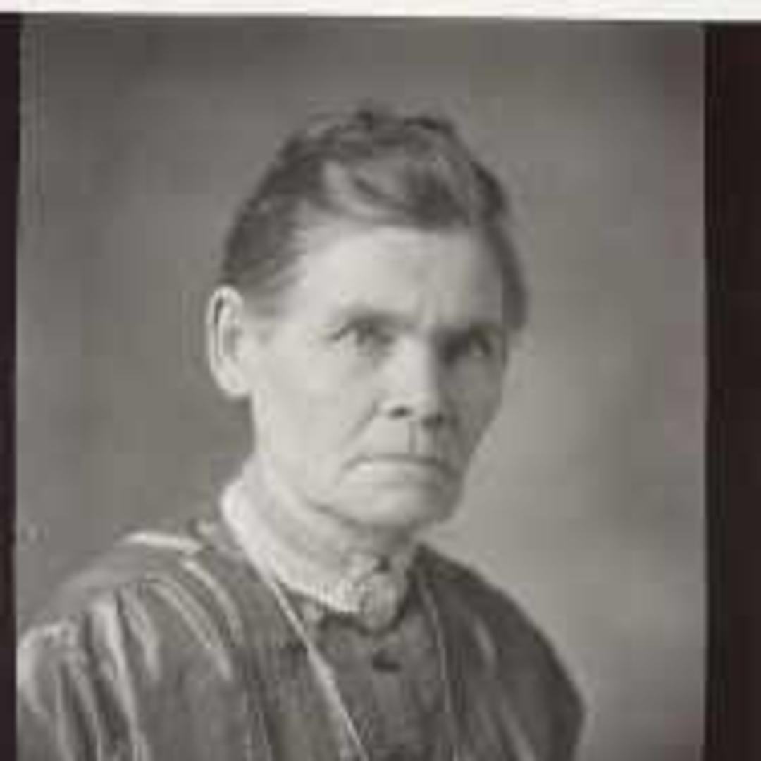 Mary Ann Minerva Davis (1848 - 1939) Profile